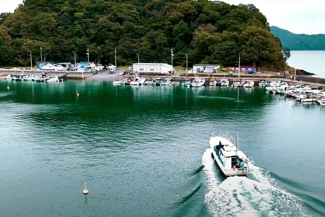 Setouchi Fishing and Culinary Adventure - Immersive Fishing Adventure