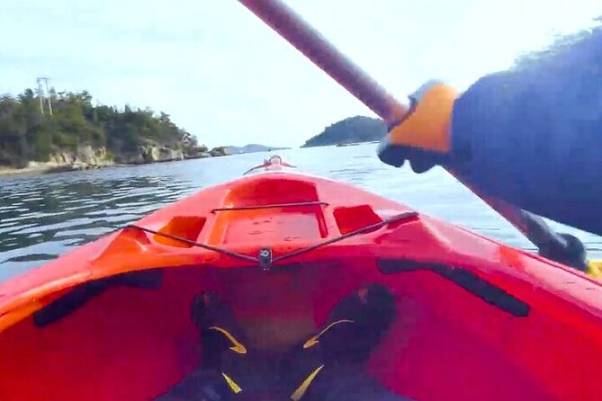 Setouchi Sea Kayak Private Adventure and Hidden Islands - Health and Safety Considerations