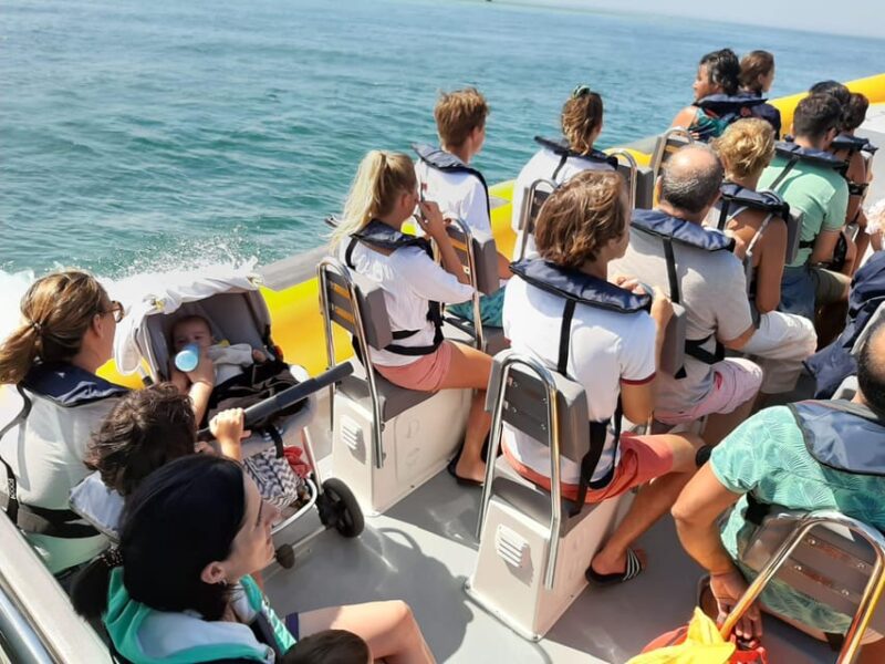 Setúbal and Tróia: Dolphin Watching and Arrábida Bays - Key Points