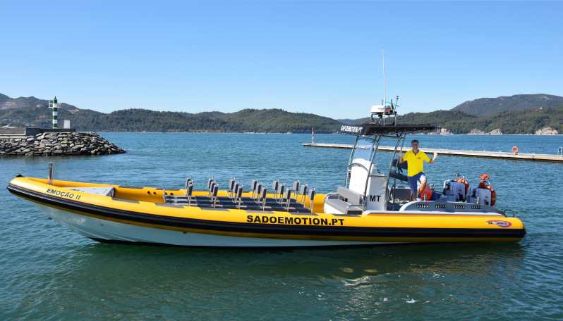 Setúbal and Tróia: Dolphin Watching and Arrábida Bays - Boat and Group Details