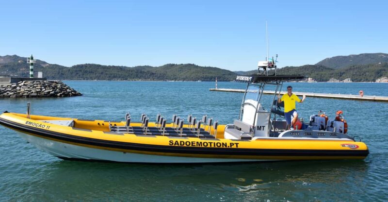 Setúbal and Tróia: Dolphin Watching and Arrábida Bays - Accessibility and Suitability