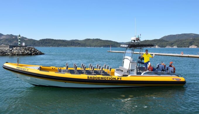 Setúbal and Tróia: Dolphin Watching and Arrábida Bays - Customer Feedback and Ratings