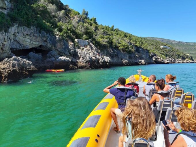 Setúbal and Tróia: Dolphin Watching and Arrábida Bays - Frequently Asked Questions