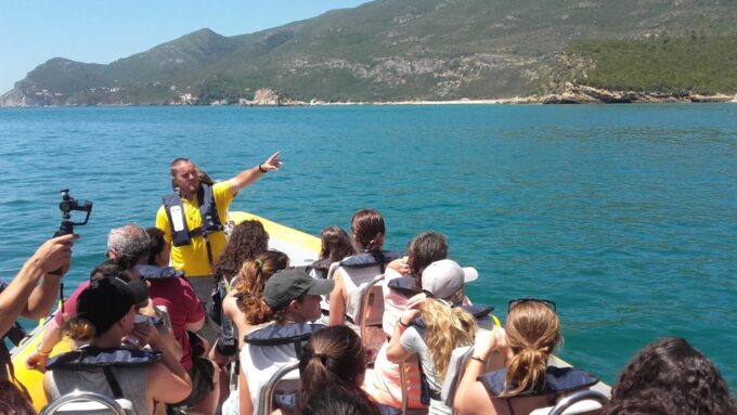 Setúbal and Tróia: Dolphin Watching and Arrábida Bays - Recap