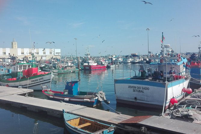 Setúbal & Arrábida - Pickup and Meeting