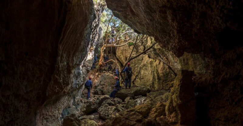 Setúbal: Arrábida Natural Park Adventure Circuit - Activity Description and Inclusions