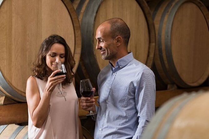 Setúbal, Arrábida & Sesimbra Signature Wine Tasting Tour - Accessibility Features
