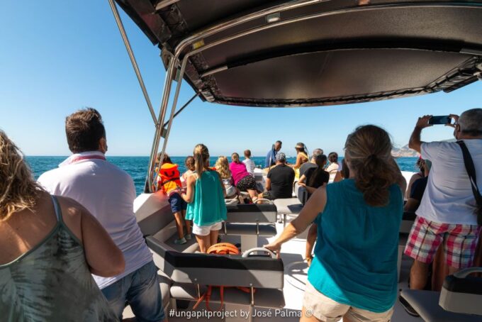 Setúbal: Dolphin Watching Boat Tour - Traveler Feedback
