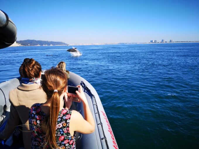 Setúbal: Dolphin Watching Boat Tour - Safety and Accessibility