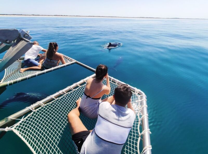 Setúbal: Dolphin Watching Tour - Discovering Setúbals Bay