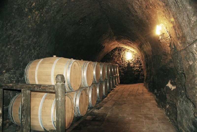 Setúbal: Language-Learning Adventure With Lunch & Wine - Scenic Drive Through Arrábida Mountains