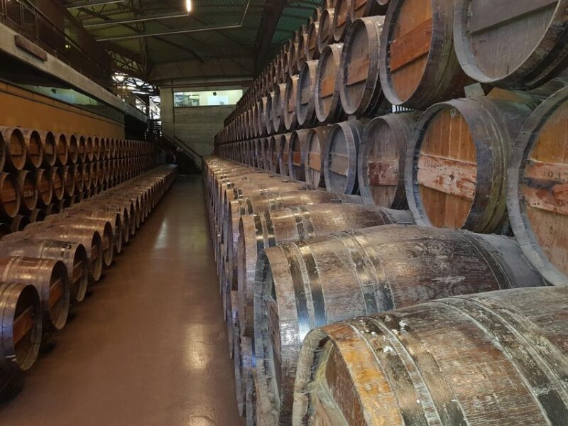 Setúbal: Language-Learning Adventure With Lunch & Wine - Winemaking and Tasting in Azeitão