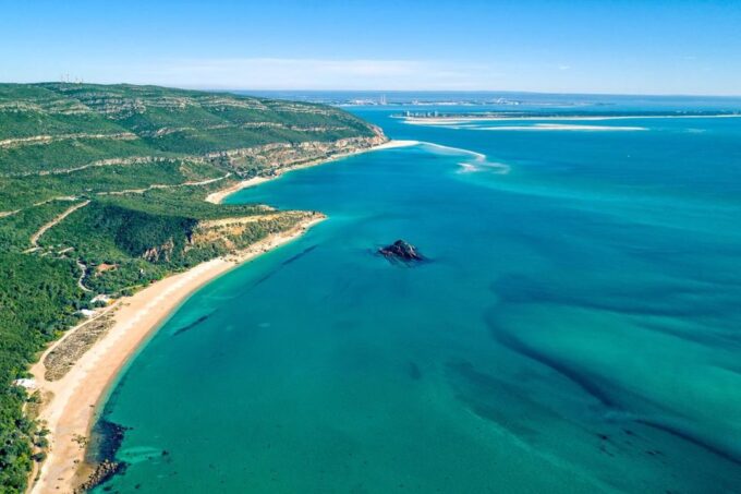 Setúbal: Language-Learning Adventure With Lunch & Wine - Interactive Culinary and Wine Experiences