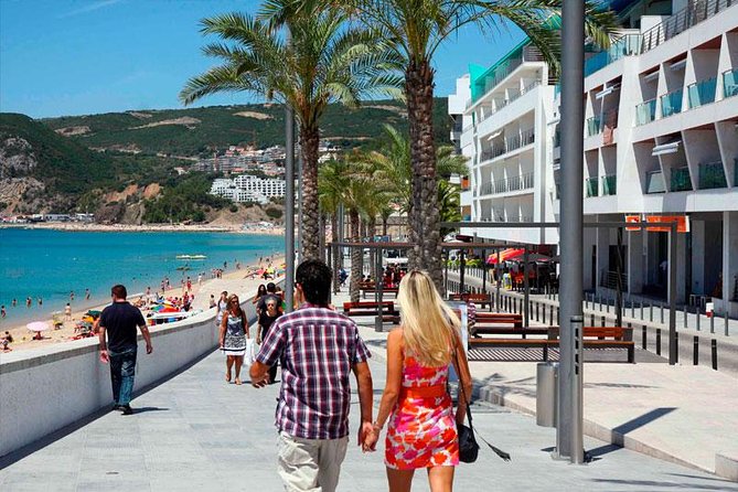 Setúbal Private Full Day Wine Tour With Tasting and Lunch at the Beach - Tour Accessibility
