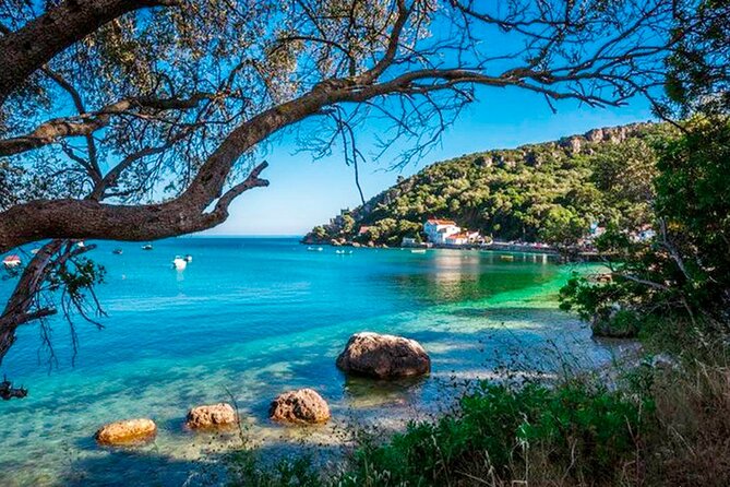 Setúbal Private Tour - Including Dolphin Watching - Tour Highlights