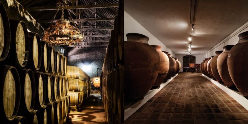 Setúbal Private Tour: Wines & Ceramic Tiles - Wine Experience