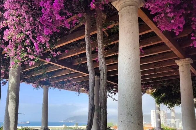 Setúbal: Private Walking Tour - Traveler Experience