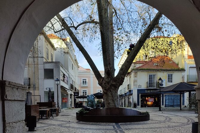 Setúbal: Private Walking Tour - Highlights of Setúbal
