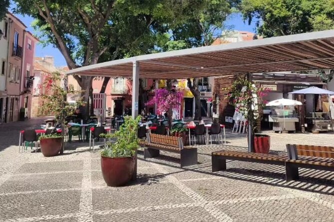 Setúbal: Private Walking Tour - What to Expect
