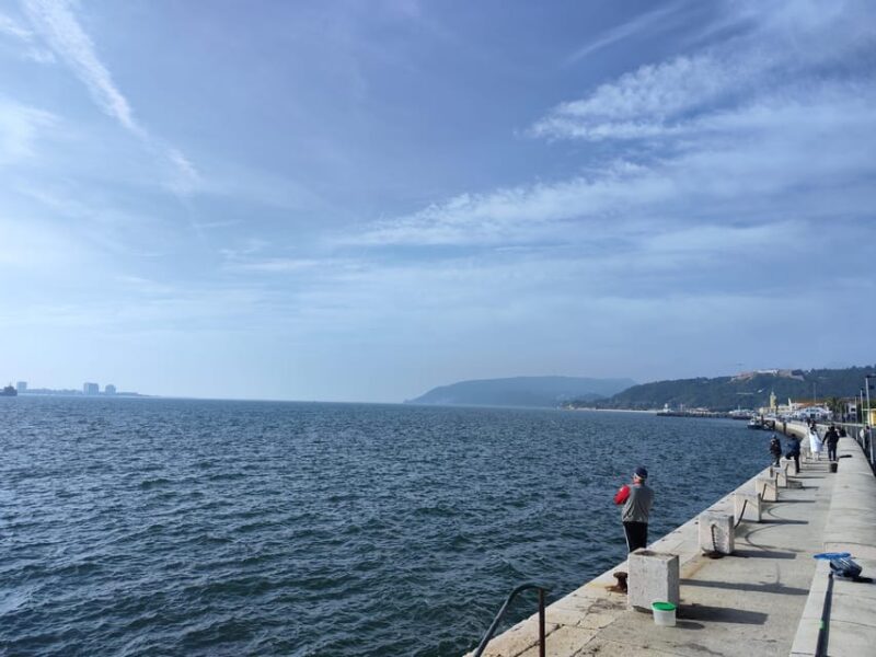 Setúbal Walking Tour With Gastronomic Tasting - Highlights of the Itinerary