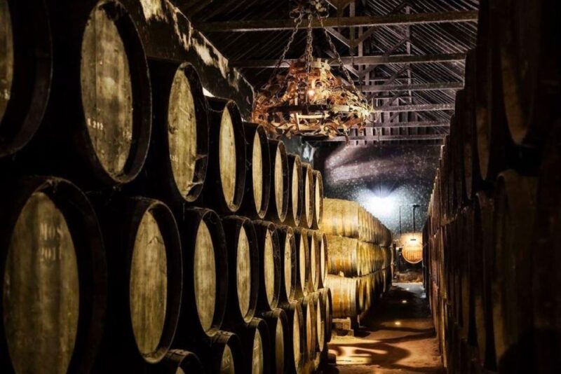 Setúbal Wine Tour: Discover the Moscatel Wine - Itinerary Highlights