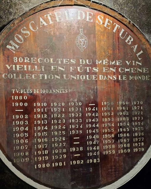 Setúbal Wine Tour: Discover the Moscatel Wine - Customer Reviews and Feedback