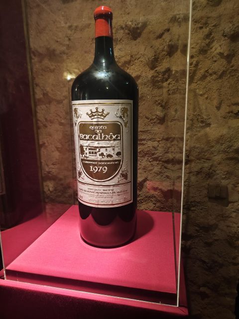 Setúbal Wine Tour: Discover the Moscatel Wine - Bacalhôa Palace and Winery