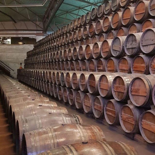 Setúbal Wine Tour: Discover the Moscatel Wine - Frequently Asked Questions
