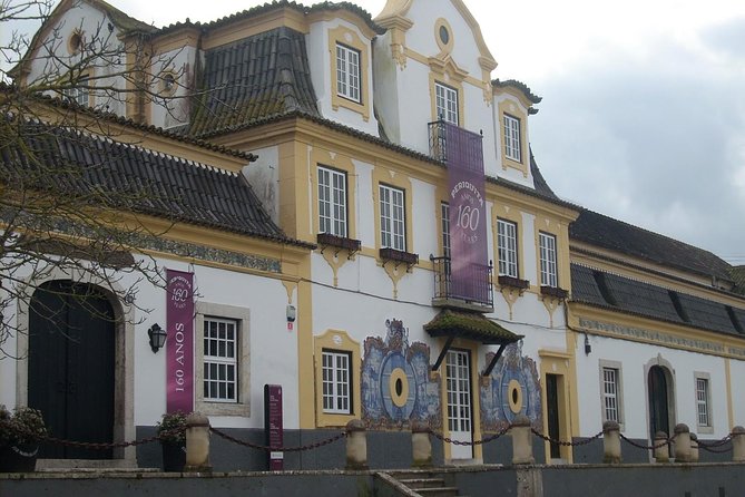 Setubal Winery Private Tour Including Lunch at Sesimbra Beach - Reviews and Feedback