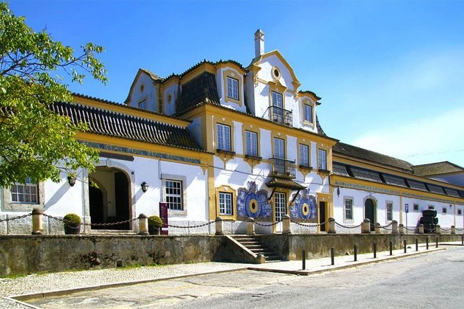Setubal Winery Private Tour Including Lunch at Sesimbra Beach - Booking and Practical Information