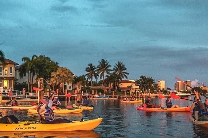 Seven Isles of Fort Lauderdale Kayak Tour - Wildlife Encounters