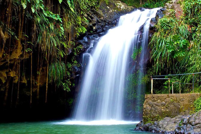 Seven Sisters Falls Hike / Annandale Falls / Grand Etang National Park & Lake - Tour Experience and Guide Feedback