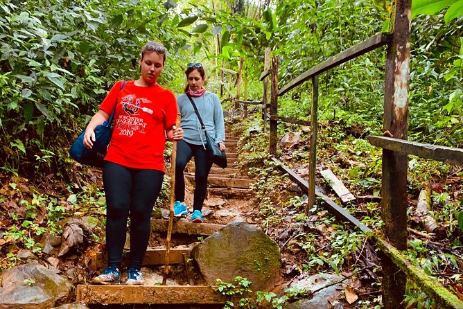 Seven Sisters Falls Hike / Annandale Falls / Grand Etang National Park & Lake - Taking in Grand Etang National Park