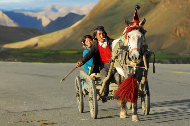 Seven World Heritage Day Tour- Private Kathmandu Sightseeing - Key Points