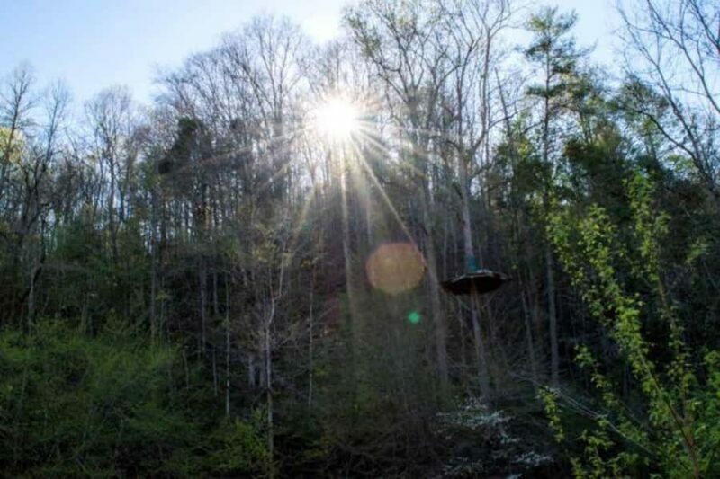 Sevierville: Extreme Mountain Zip Lining Adventure - What the Reviews Say