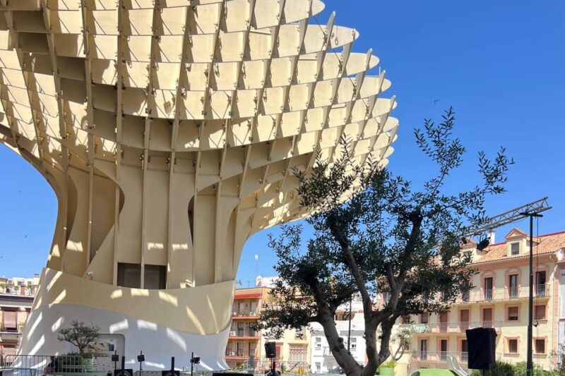 Sevilla: Dutch Walkingtour to Discover Seville - Pricing and Booking