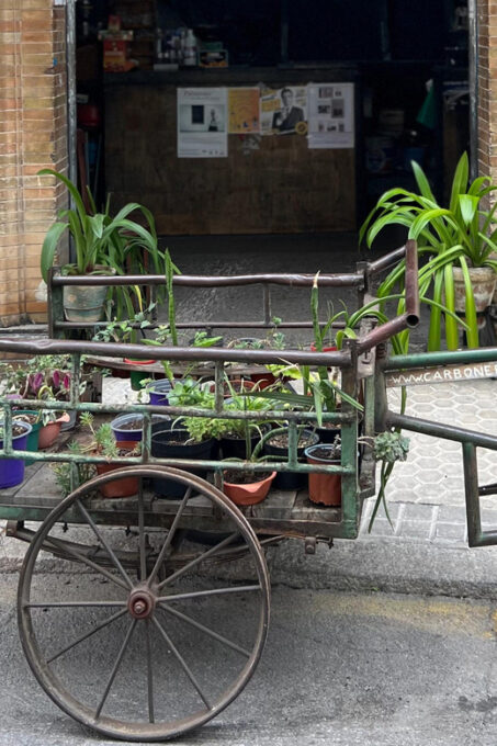 Sevilla: Dutch Walkingtour to Discover Seville - Additional Information