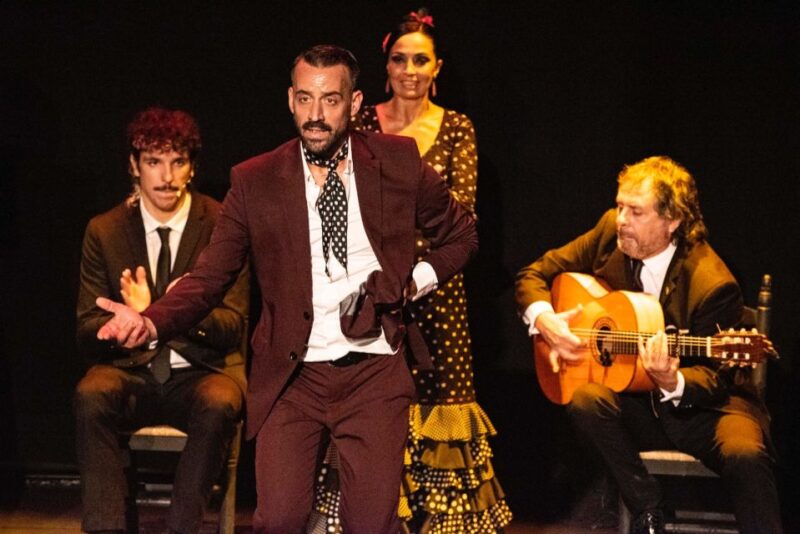 Sevilla: Hop-On Hop-Off & Walking Tours, Cruise & Flamenco - Panoramic Cruise