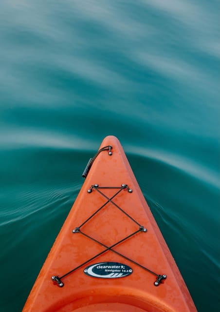 Seville: 1.5 Hour Kayak Excursion - Experience Highlights