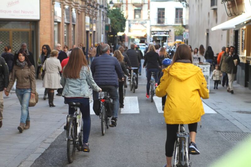 Seville: 1-Day Bike Rental - Bike Specifications and Options