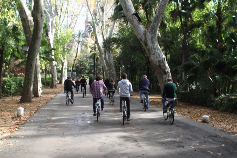 Seville: 1-Day Bike Rental - Explore Seville at Your Pace