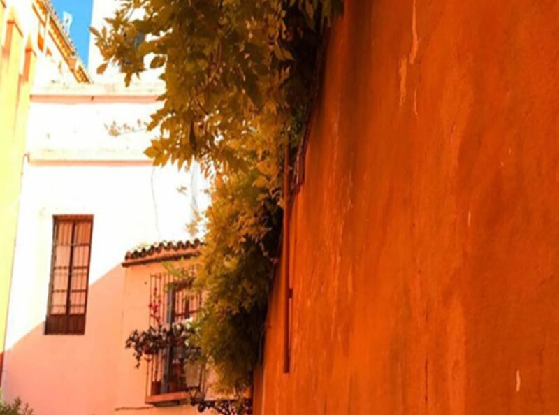 Seville: 1-Hour Walking Tour Barrio De Santa Cruz - Customer Feedback