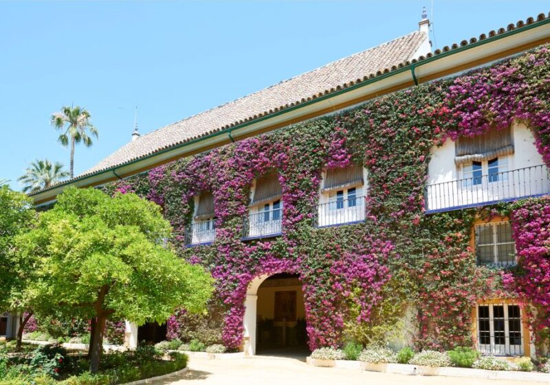 Seville: 3-Hour Guided Walking Tour & Palacio De Las Dueñas - Itinerary Highlights