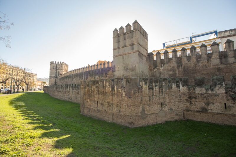 Seville: 3-Hour Guided Walking Tour & Palacio De Las Dueñas - Tour Experience