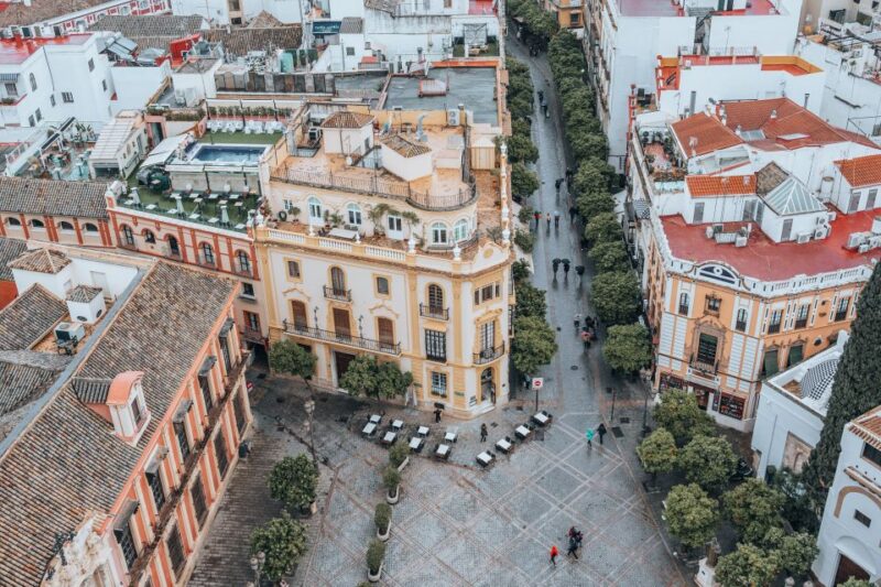 Seville: 4-Hour Private Palaces Guided Walking Tour - Customization Options