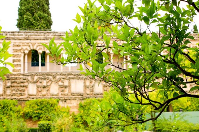Seville: Alcazar Skip-The-Line Guided Tour With Tickets - Meeting Point