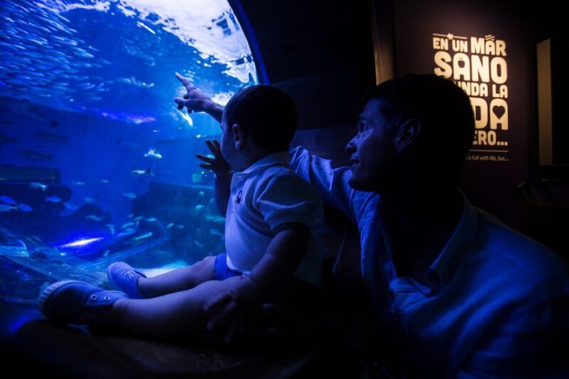 Seville Aquarium Admission Ticket - Aquarium Overview
