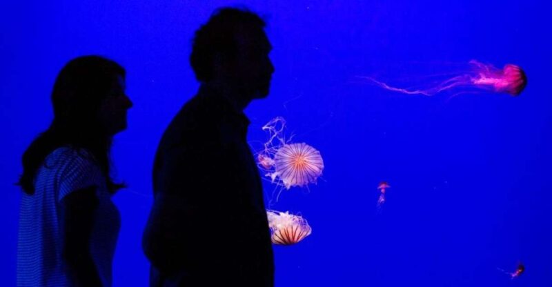 Seville Aquarium Admission Ticket - Exhibits and Experiences