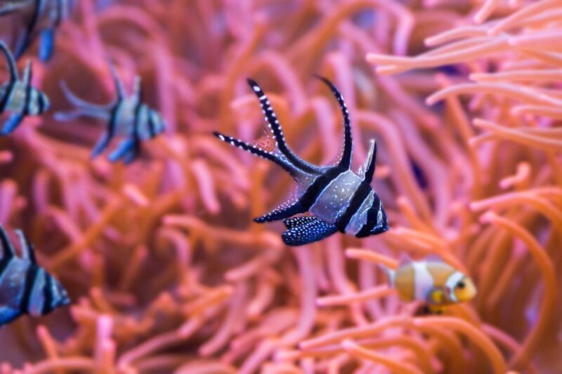 Seville Aquarium Admission Ticket - Visitor Amenities and Accessibility