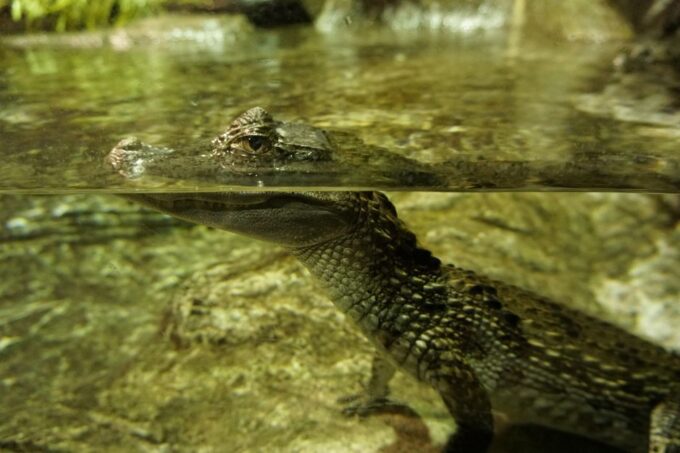 Seville Aquarium Admission Ticket - Customer Reviews